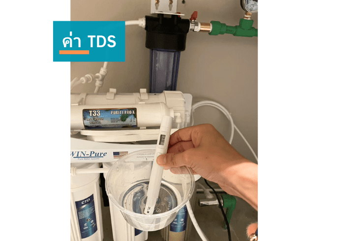 measure tds